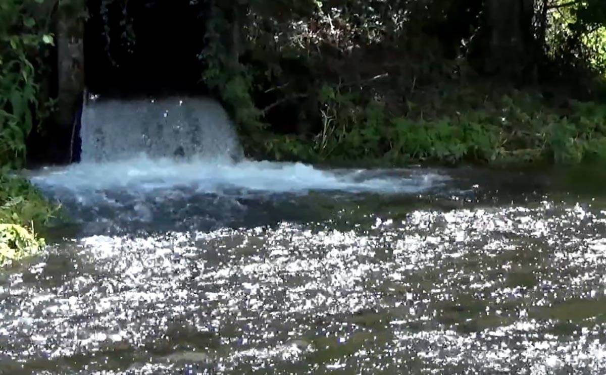 reka Vrelo Perućac (5).jpg