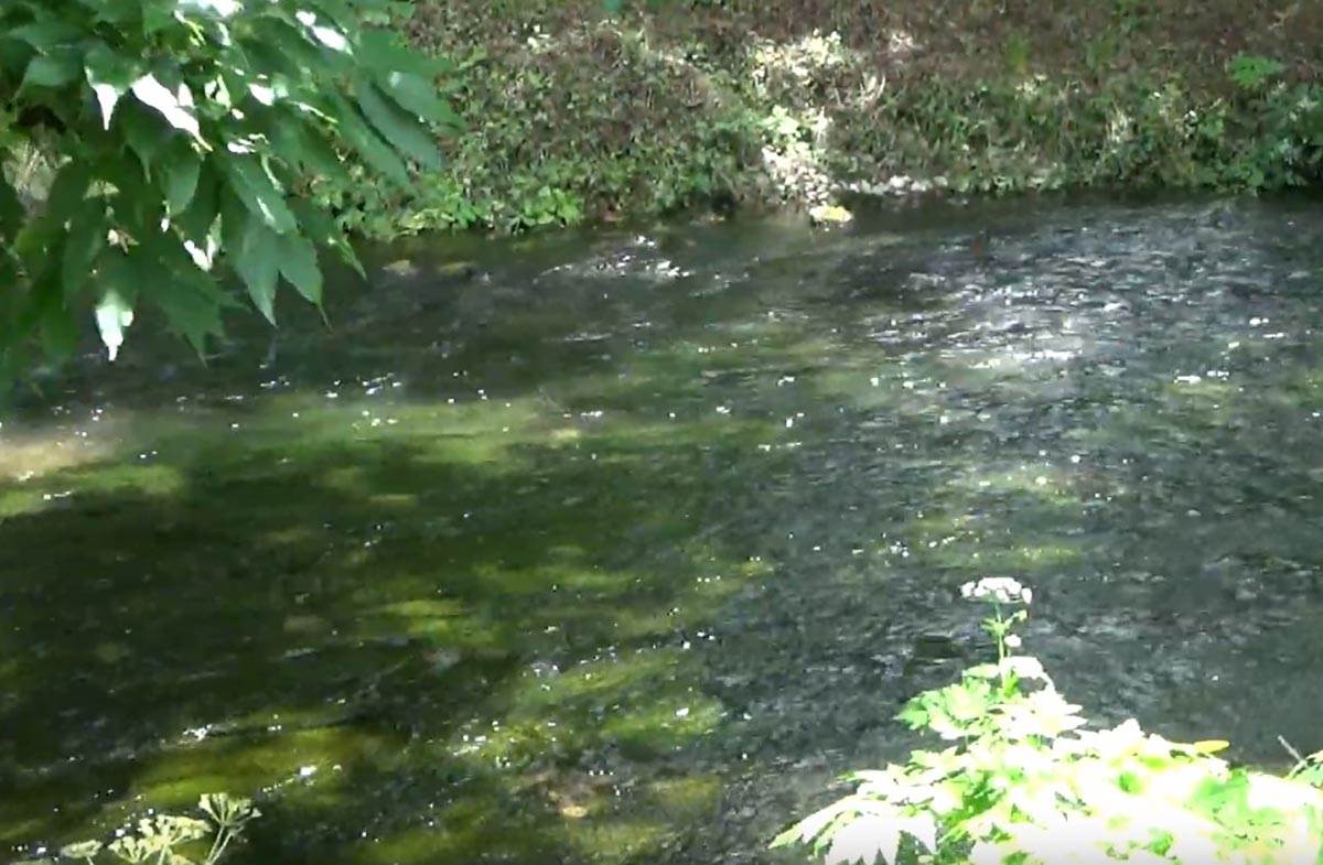 reka Vrelo Perućac (6).jpg