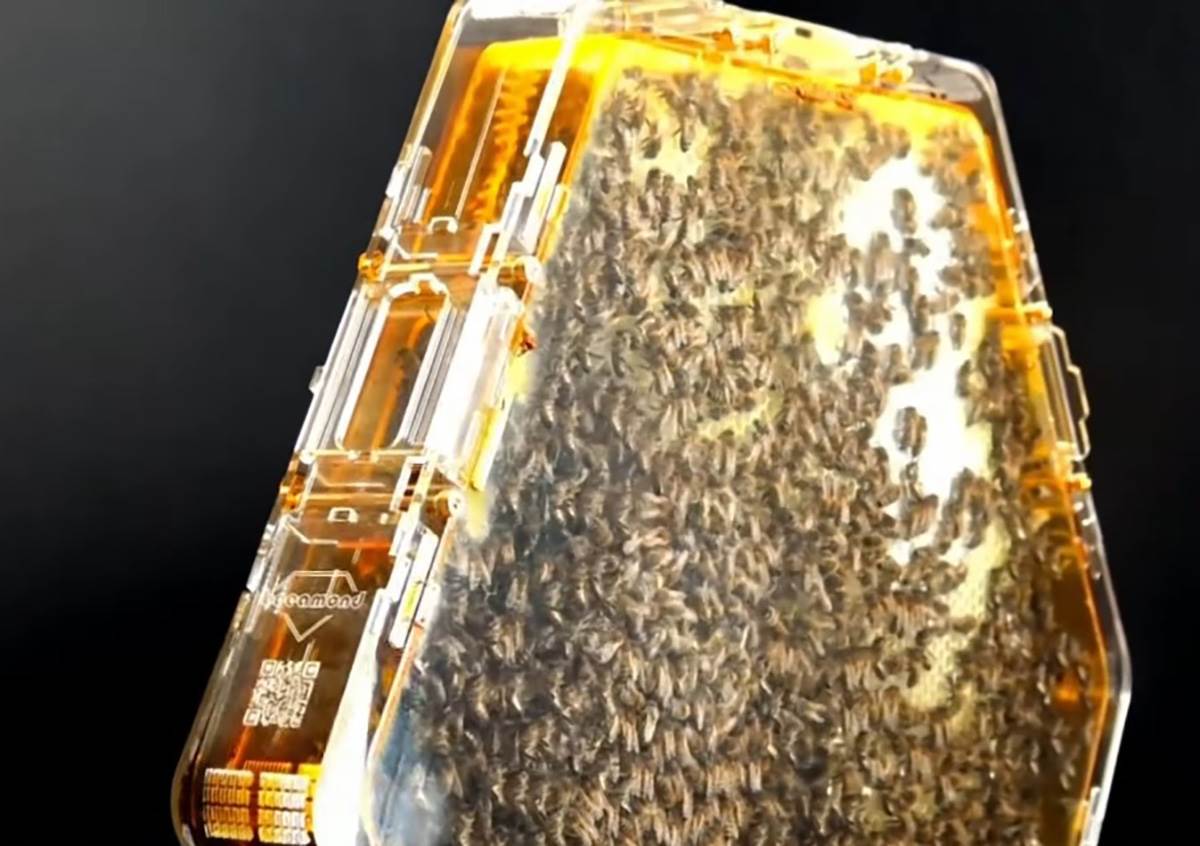 Sobna košnica (7).jpg