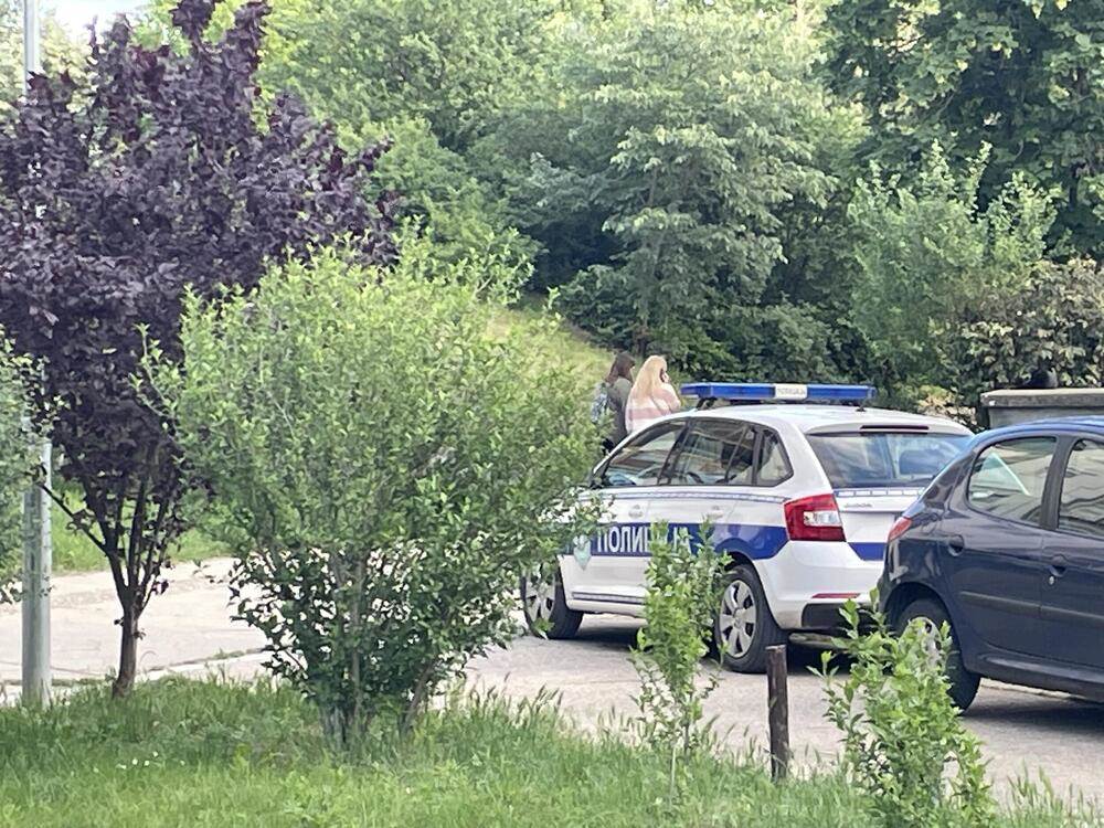 Novi Beograd, ubistvo, samoubistvo