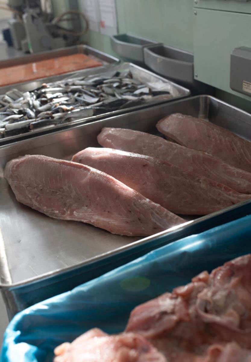 surove sestavine.jpg