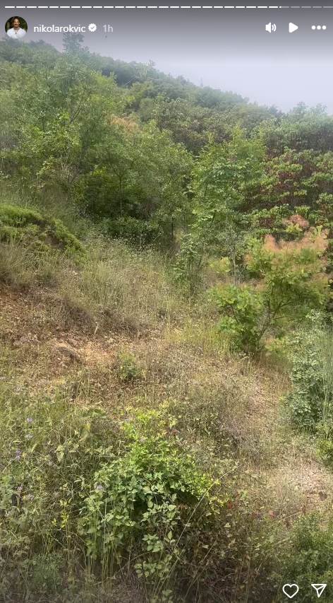 nikola rokvić (1).jpg