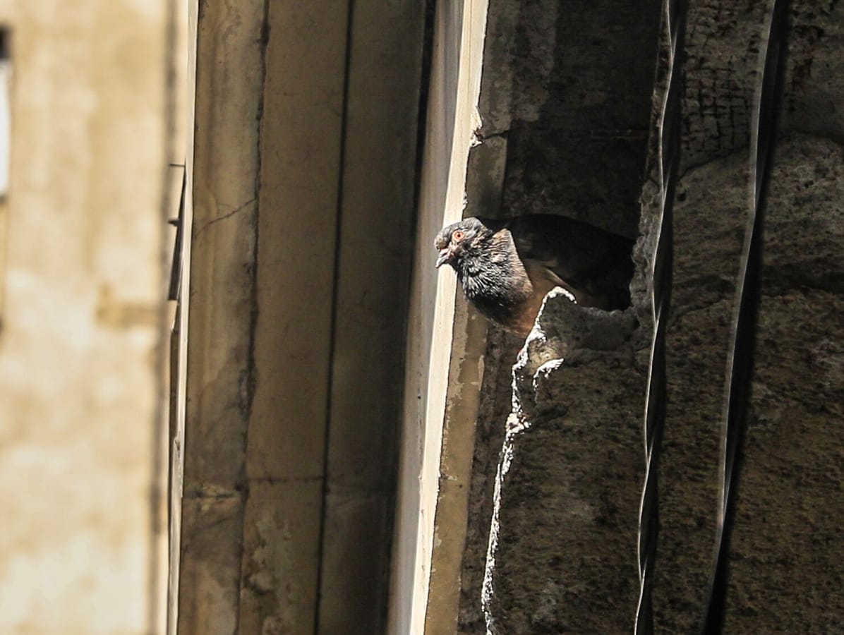 Bezistan urusava se plafon (15).jpg