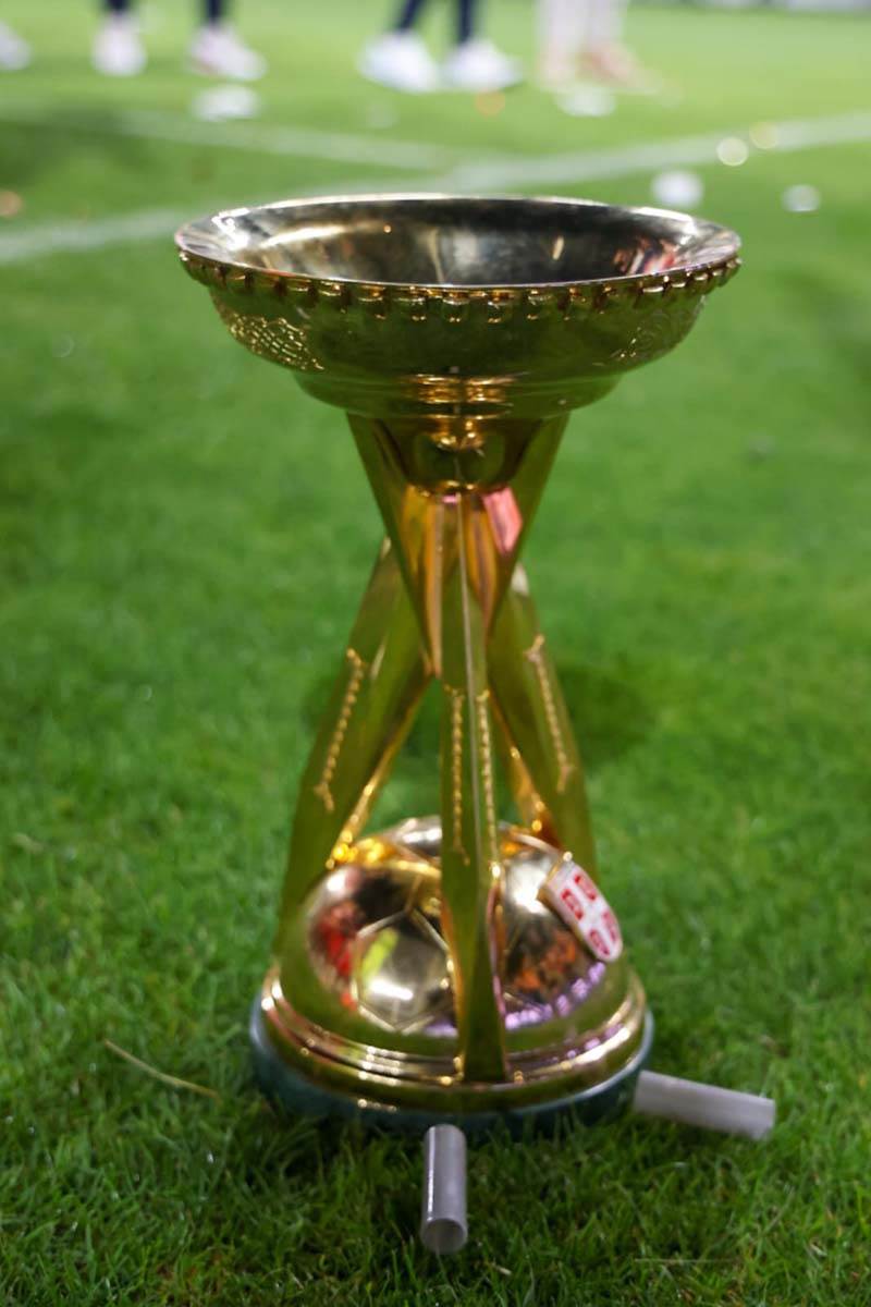 Izjava Vladana Milojevića posle finala Kupa Zvezda Vojvodina 