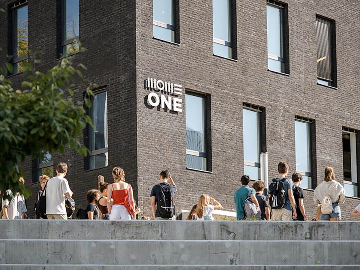 53655643639_b452ca7b3d_c copy.jpg