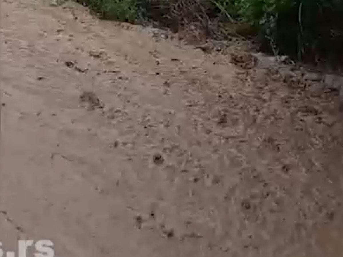 Vanredna situacija u Vladičinom Hanu (1).jpg