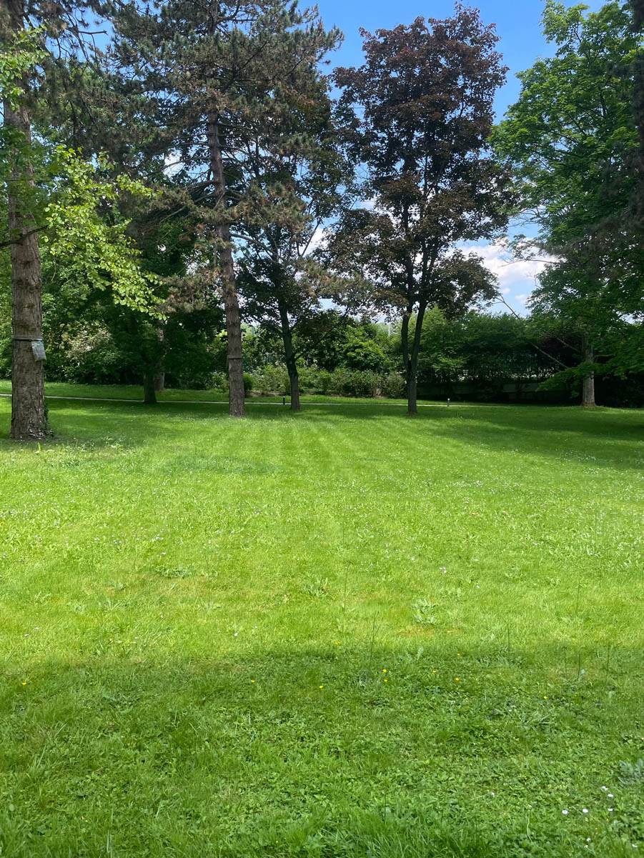 Novak Đoković se povukao sa Rolan Garosa, saznao sam ispred Notr Dama MONDO reportaža