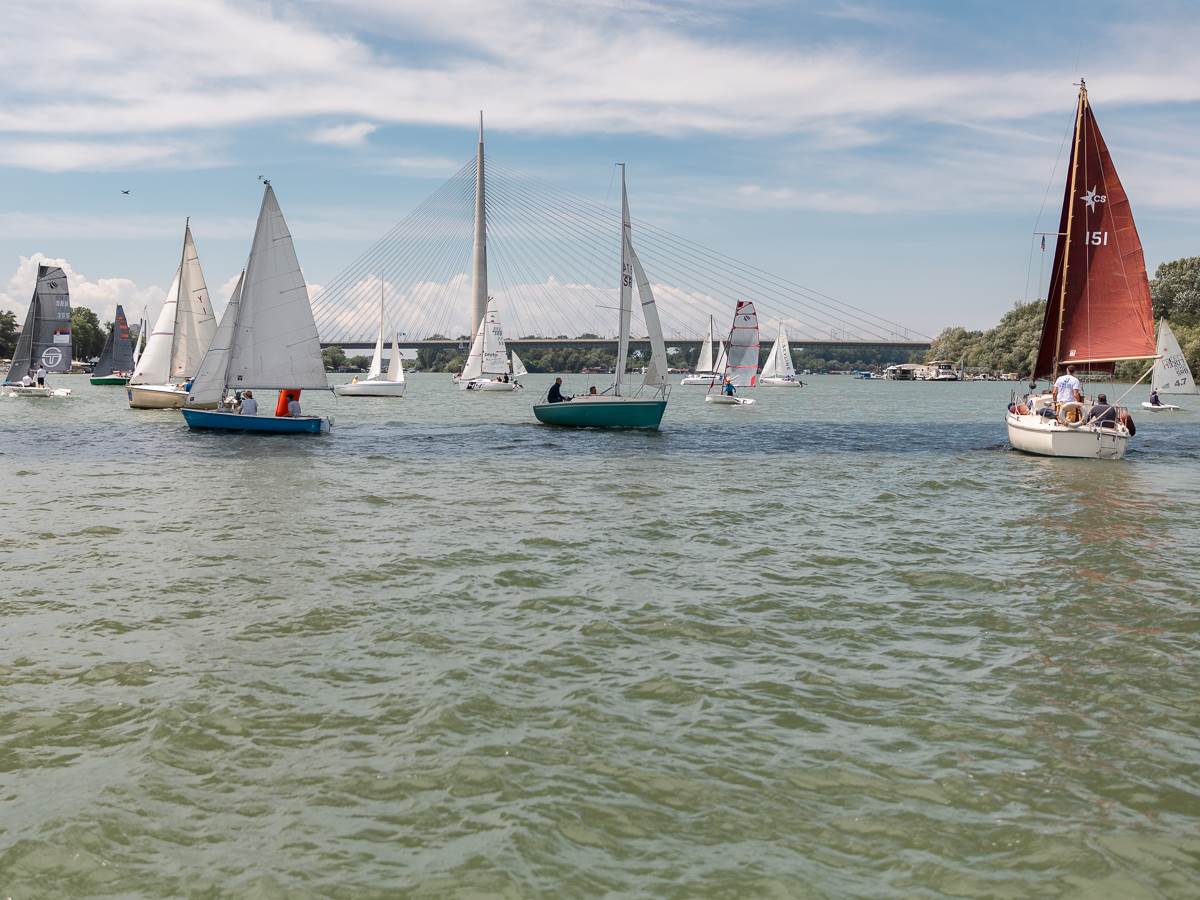 Zokijeva regata (9).jpg