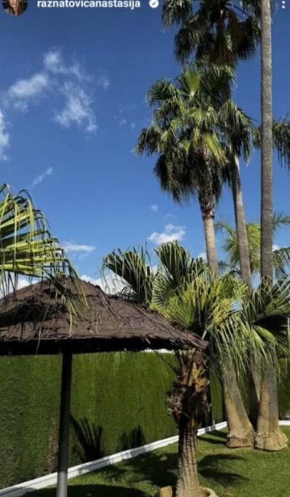 anastasija, nemanja gudelj (3).png