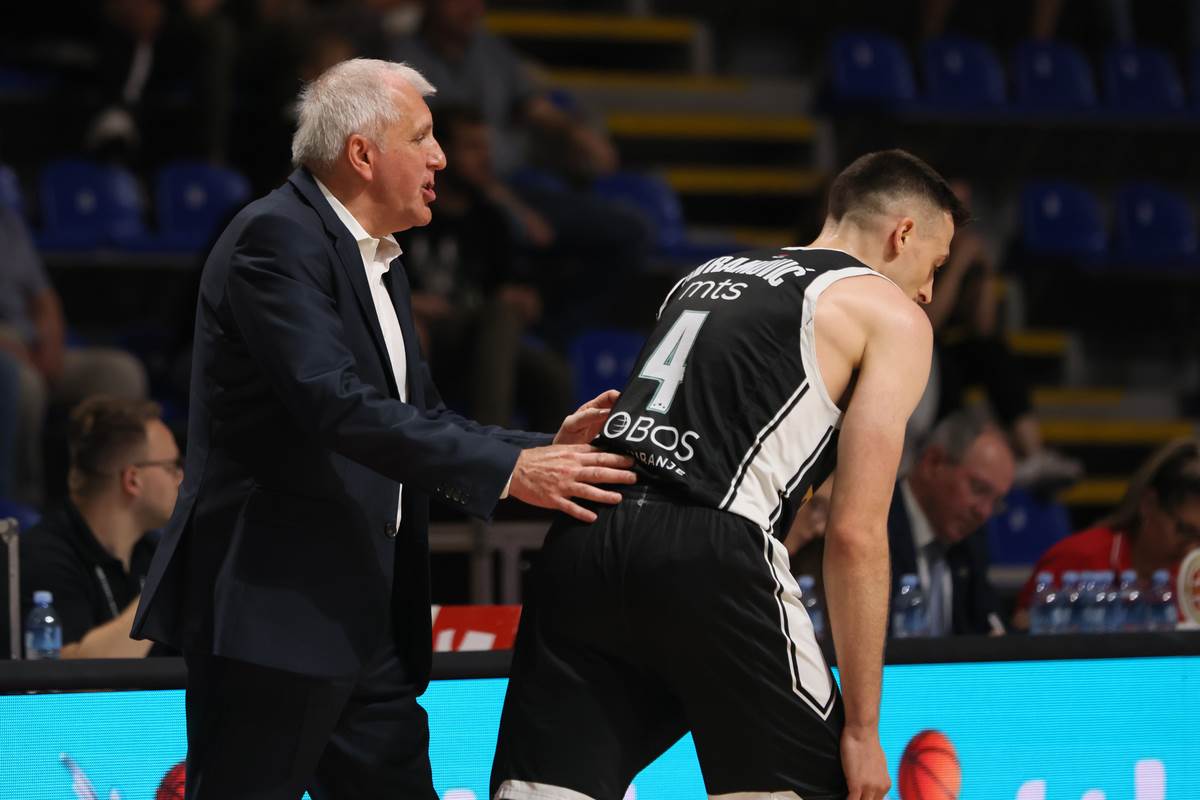 PARTIZAN MEGA MIS  (15).JPG