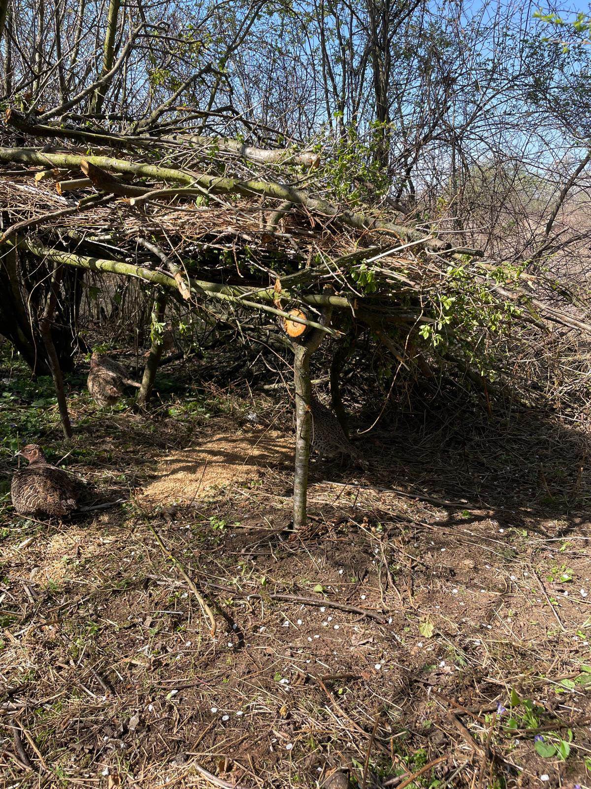 Tijana lovac (4) copy.jpg