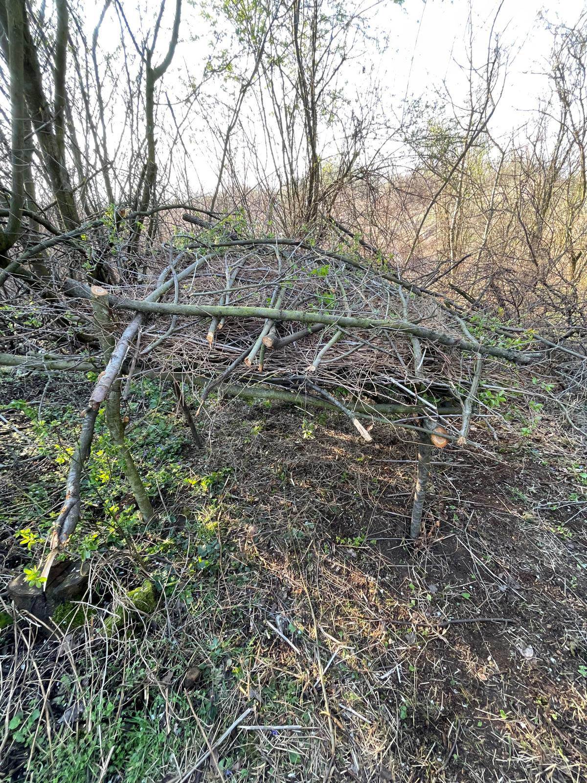 Tijana lovac (6) copy.jpg