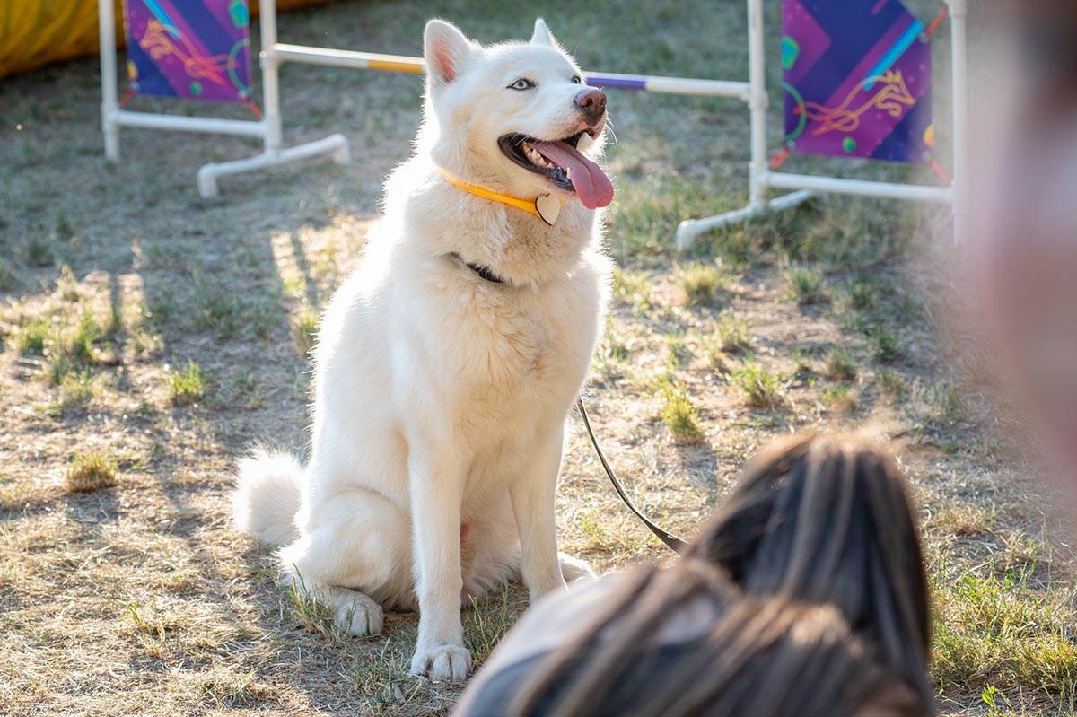 LiveProduction2FestivalUlicnihPasa190622High-9573 copy.jpg