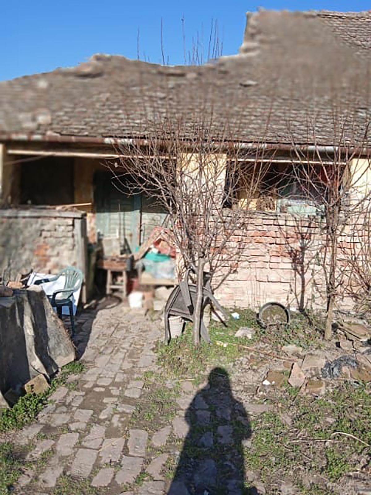 Slavica Nićević (1).jpg