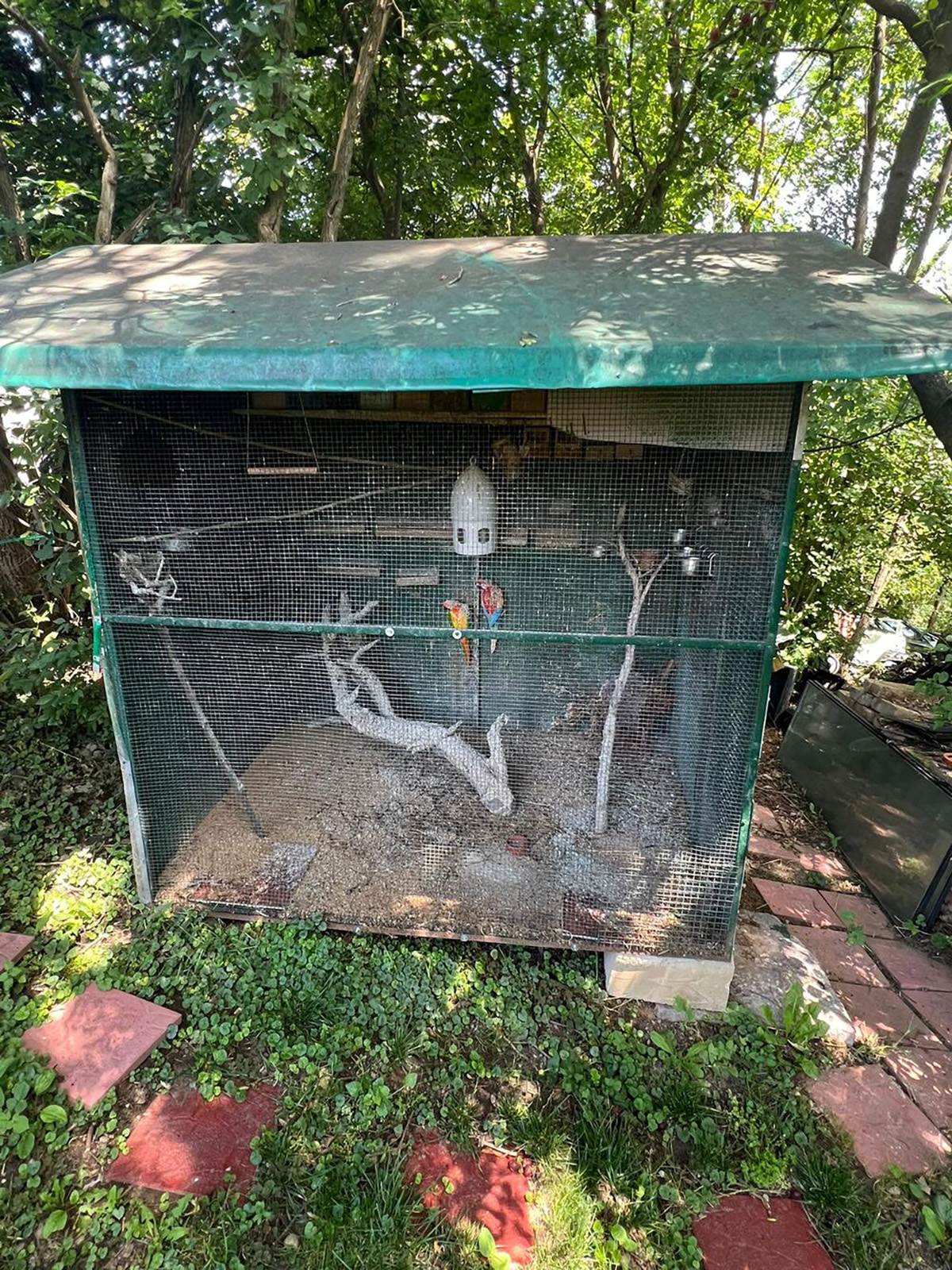 Tamara Milutinović i Darko Jevtić svadba (5).jpg