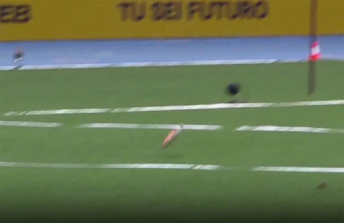 Darko Pešić (10).jpg