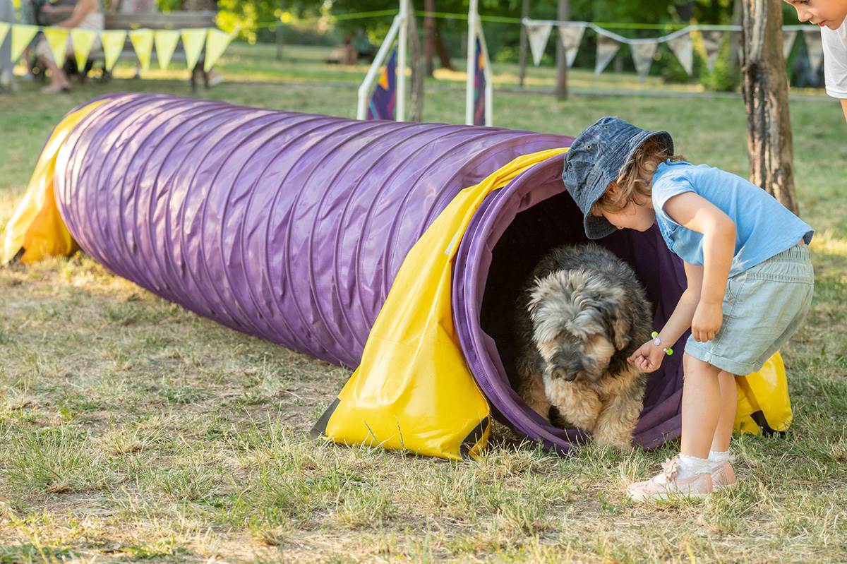 LiveProduction2FestivalUlicnihPasa190622High-9532 copy.jpg