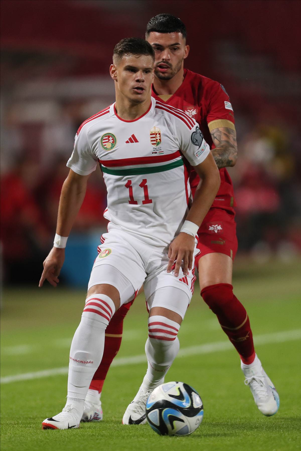 Miloš Kerkez (5).jpg