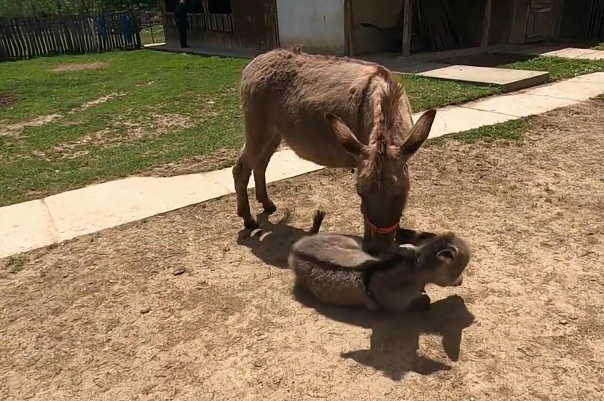 Ljubiša i Gordana (6).jpg