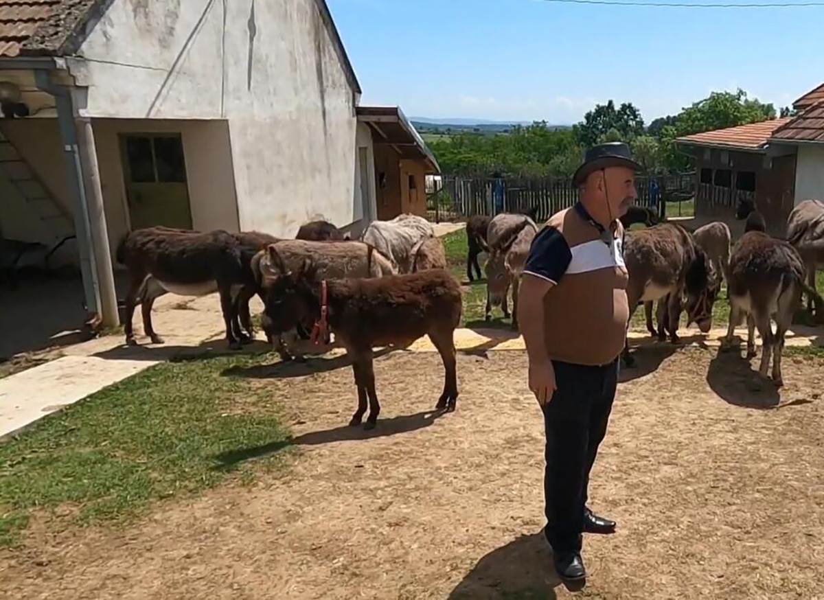 Ljubiša i Gordana (8).jpg