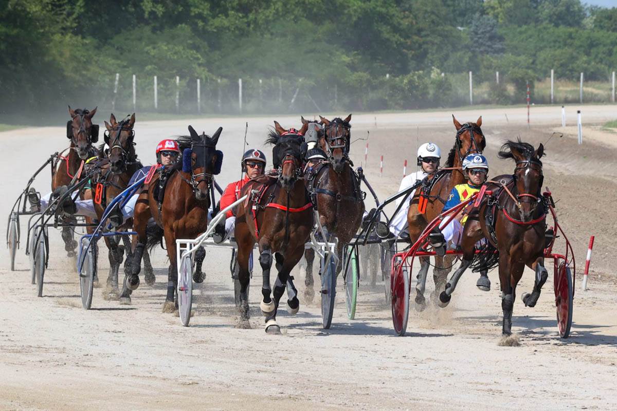 Šta Nikola Jokić radi kad je u Srbiji?