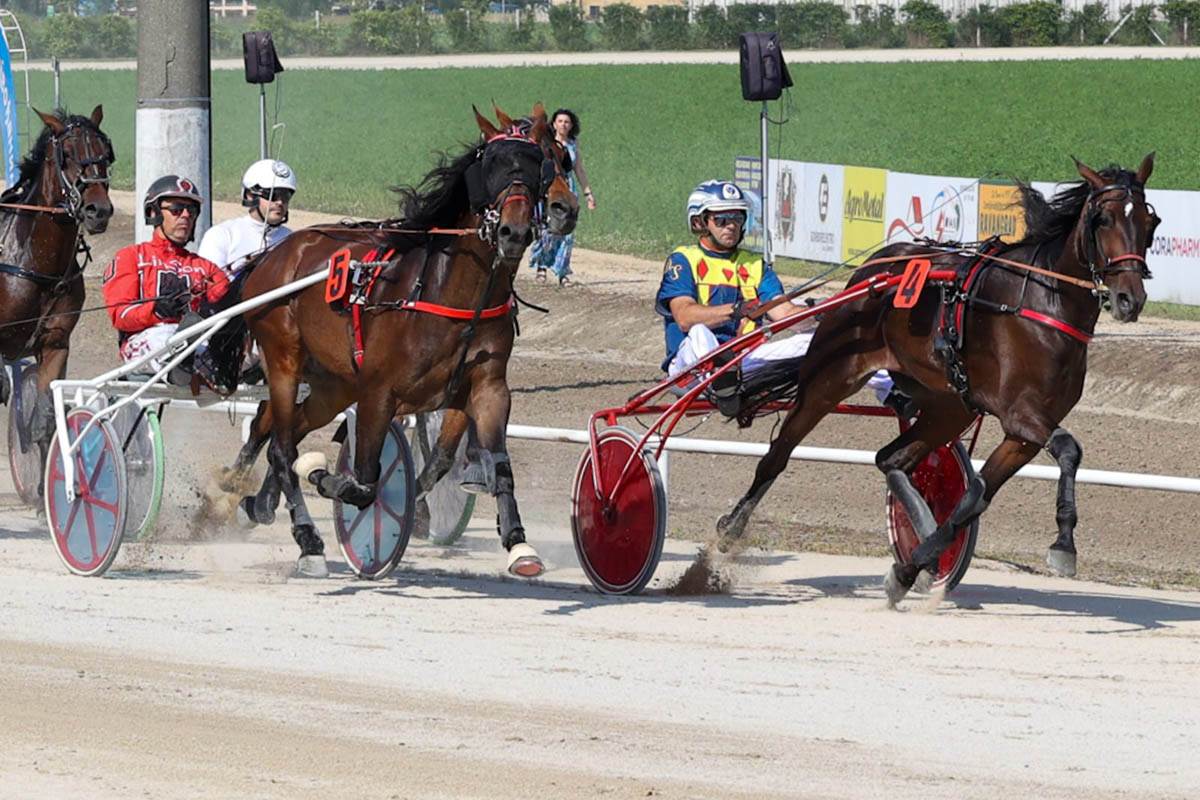 Šta Nikola Jokić radi kad je u Srbiji?