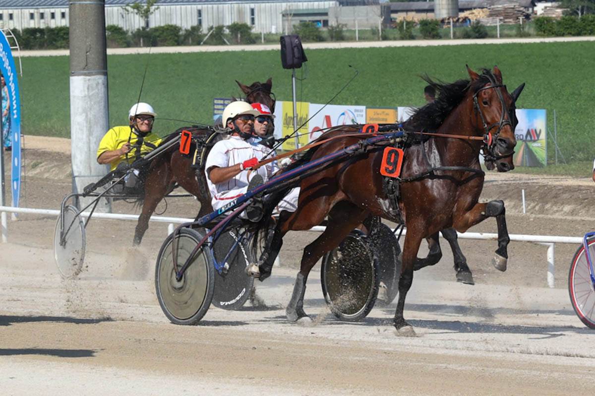 Šta Nikola Jokić radi kad je u Srbiji?