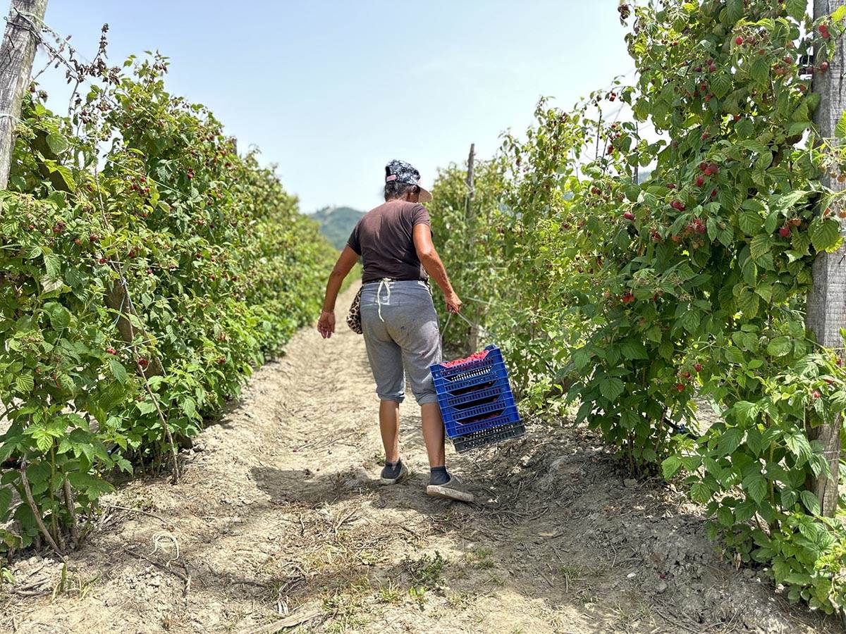 Toplotni talas drma Srbiju (3).jpg