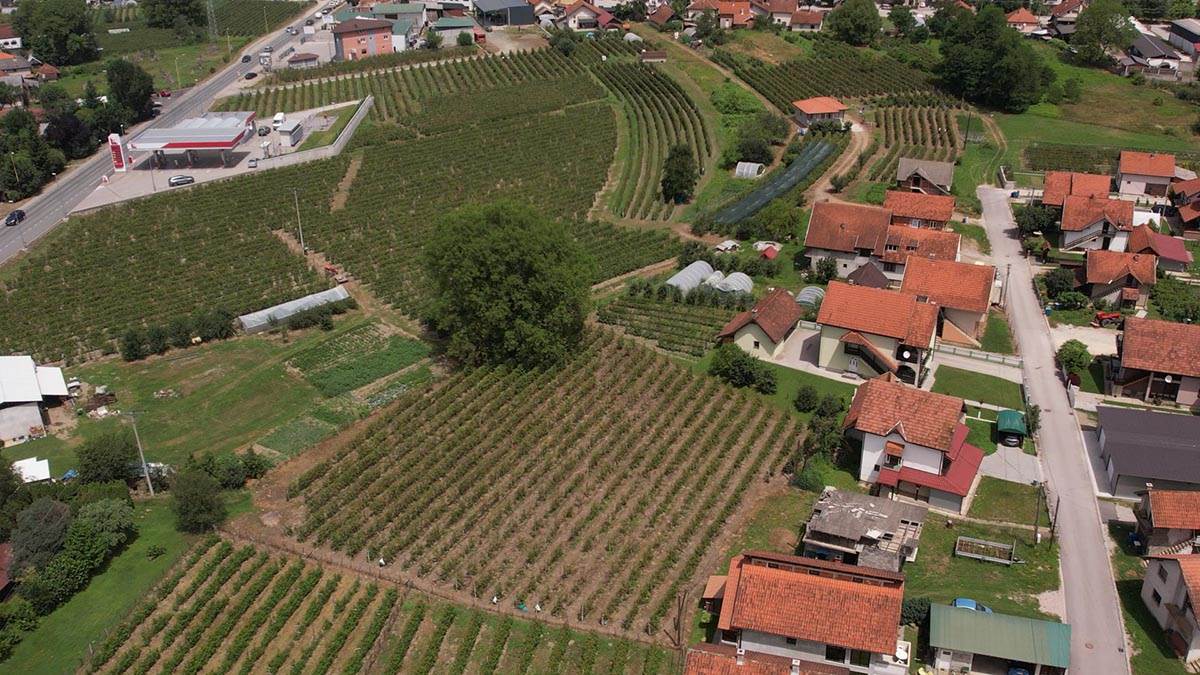 Toplotni talas drma Srbiju (6).jpg