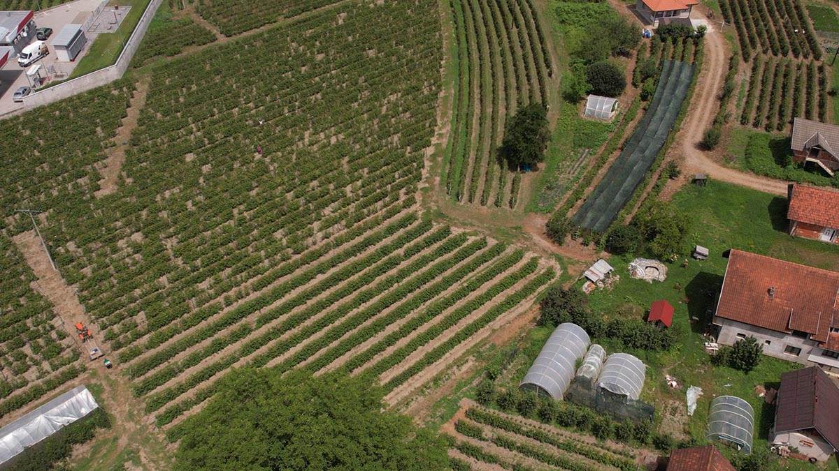 Toplotni talas drma Srbiju (8).jpg