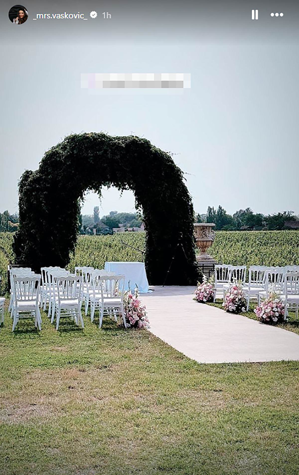 Miloš Vuksanović iz Lexington benda svadba (8).jpg