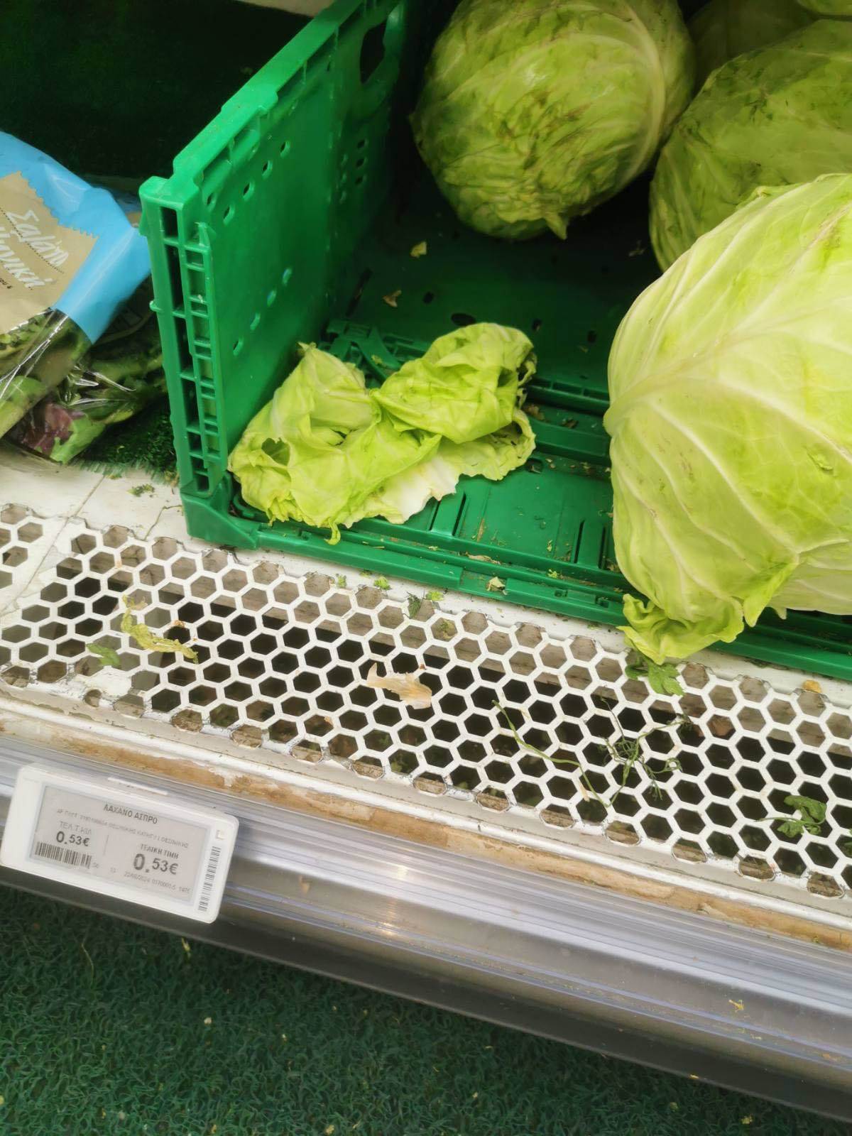 Cene u Grčkoj (2).jpg