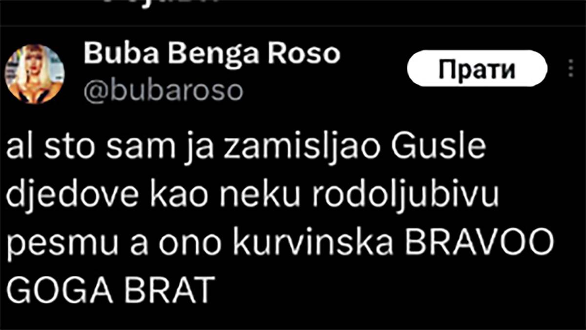 Gusle djedove (2).jpg