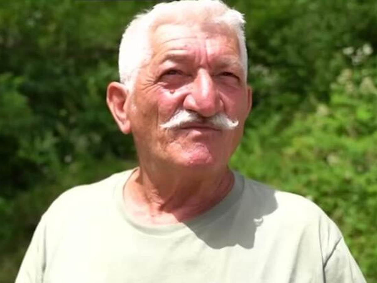 OD BRANJA PEČURAKA MOŽE DOBRO DA SE ZARADI.jpg