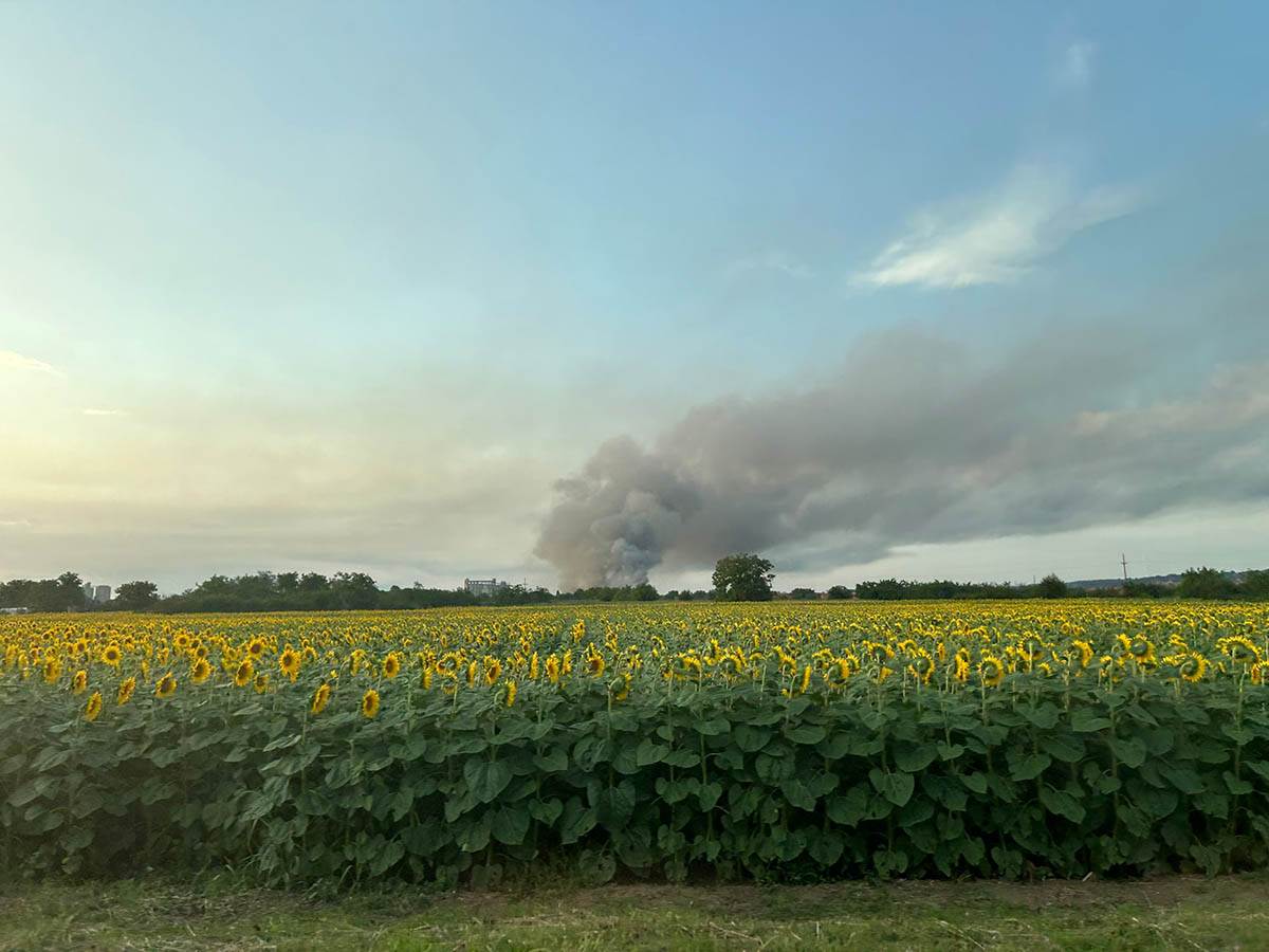 WhatsApp Image 2024-06-29 at 19.49.46.jpeg