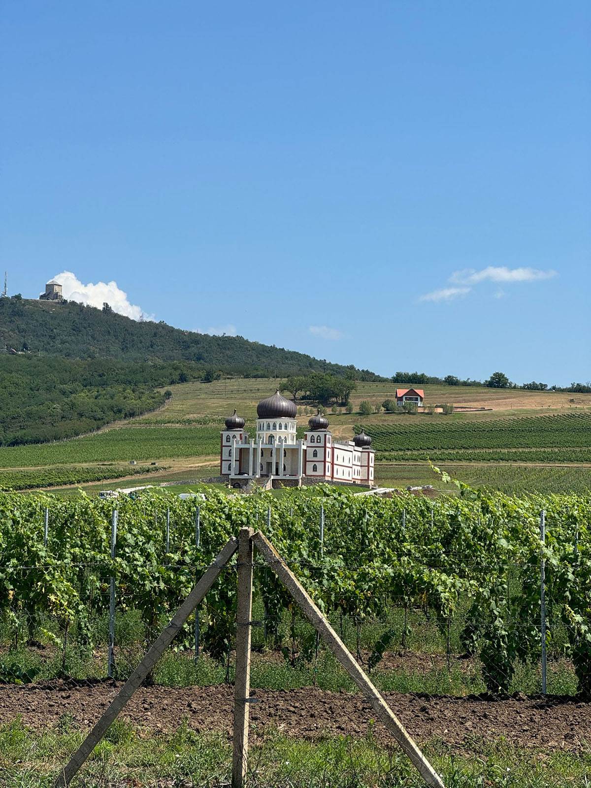 Vila Rodoljuba Draškovića (3).jpg