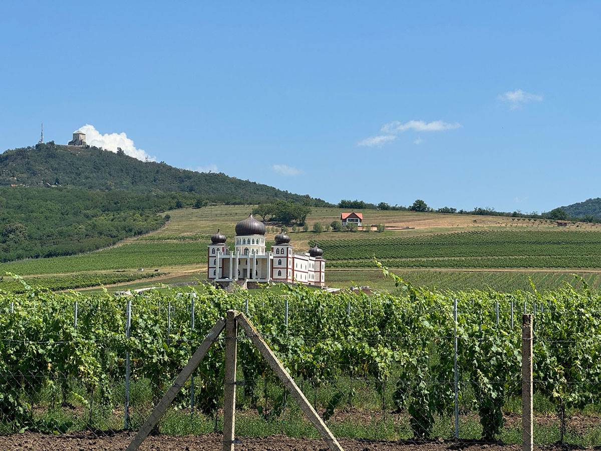 Vila Rodoljuba Draškovića (4).jpg