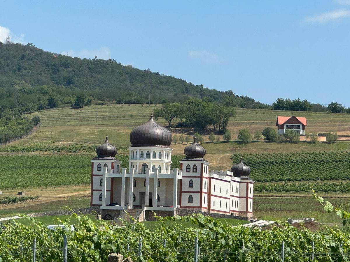 Vila Rodoljuba Draškovića (5).jpg