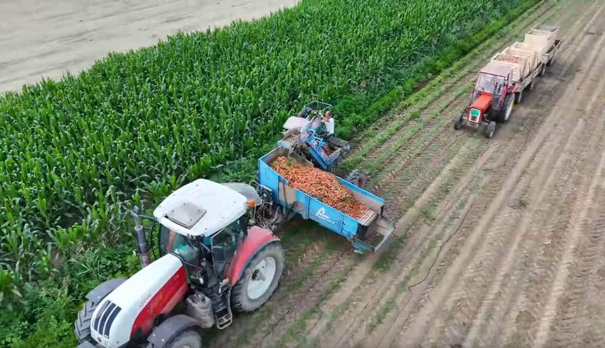 Ivana Tomić (8).jpg