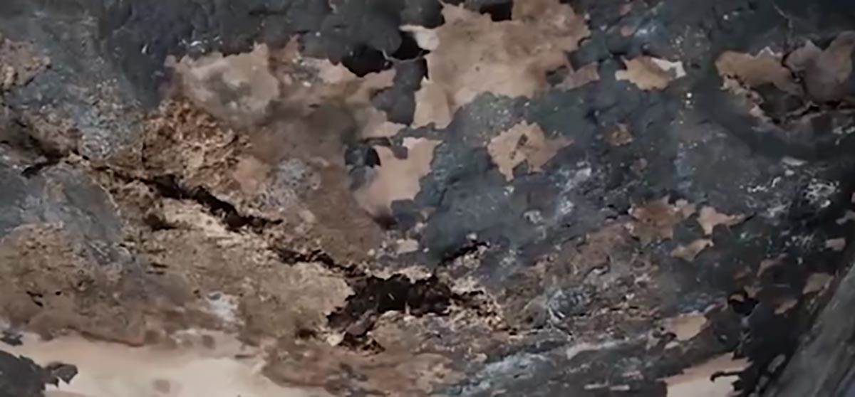 Srpska sedmočlana porodica živi u teškim uslovima u Severnoj Makedoniji