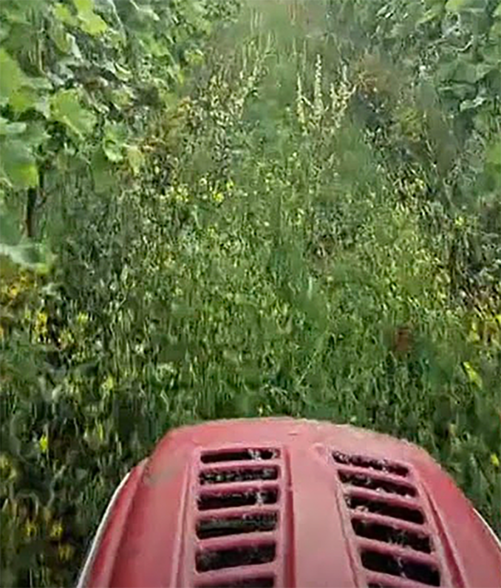 Nikola Mirotić je Srbin pravoslavac