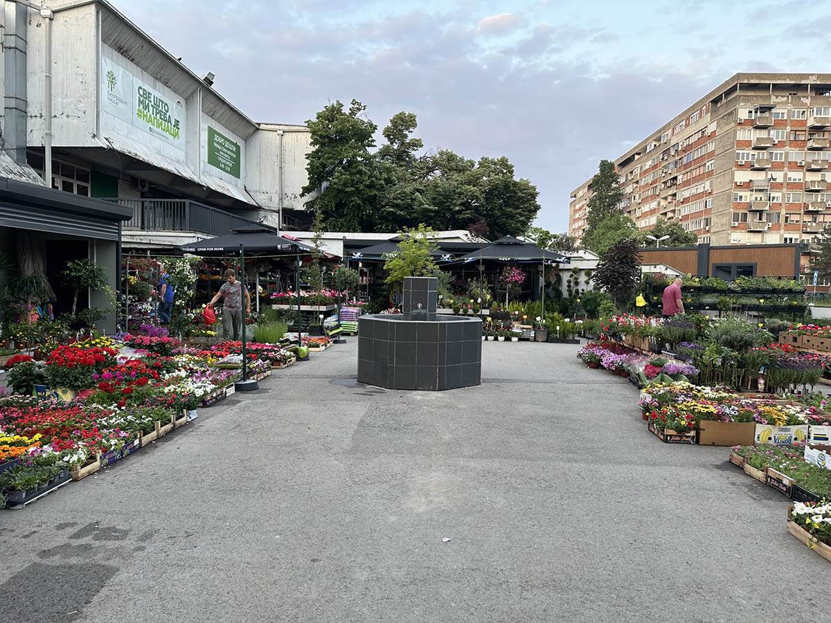 ONE SU OGLEDALO SVIH NAS! Pijace u Beogradu u novom ruhu