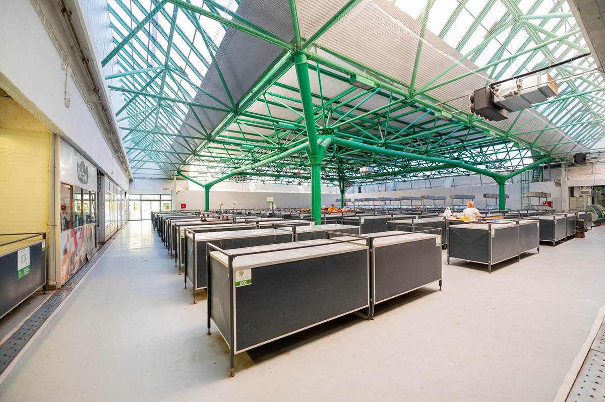 ONE SU OGLEDALO SVIH NAS! Pijace u Beogradu u novom ruhu