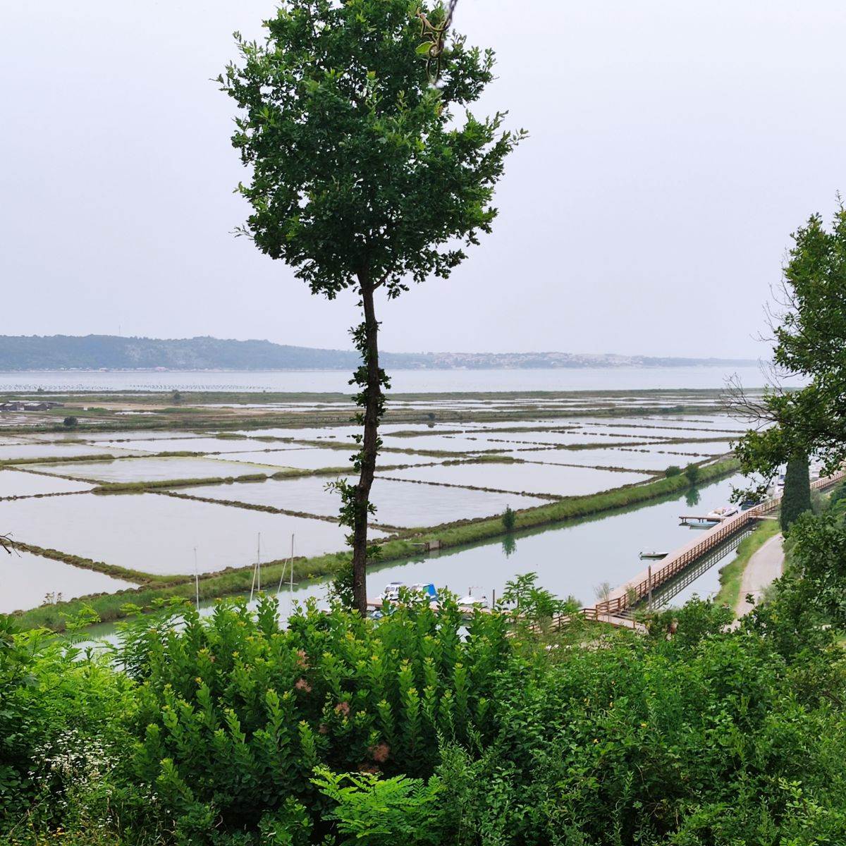 Slovenija Gramona1.jpg