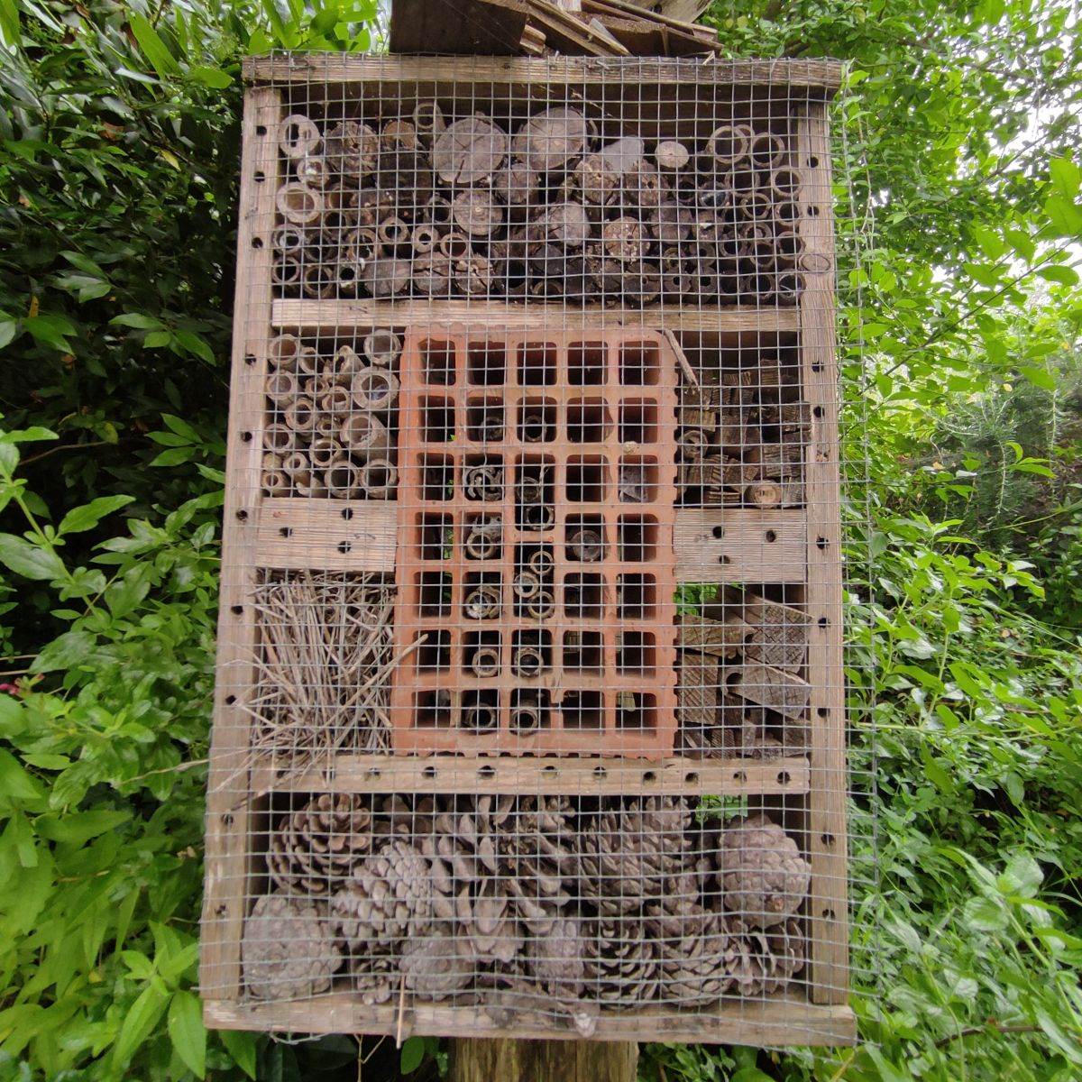 Slovenija Gramona2.jpg