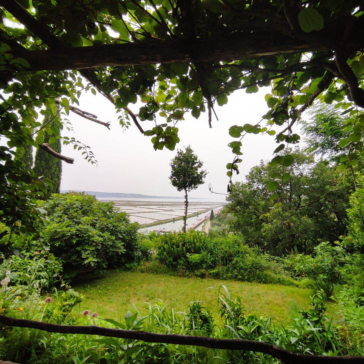 Slovenija Gramona3.jpg