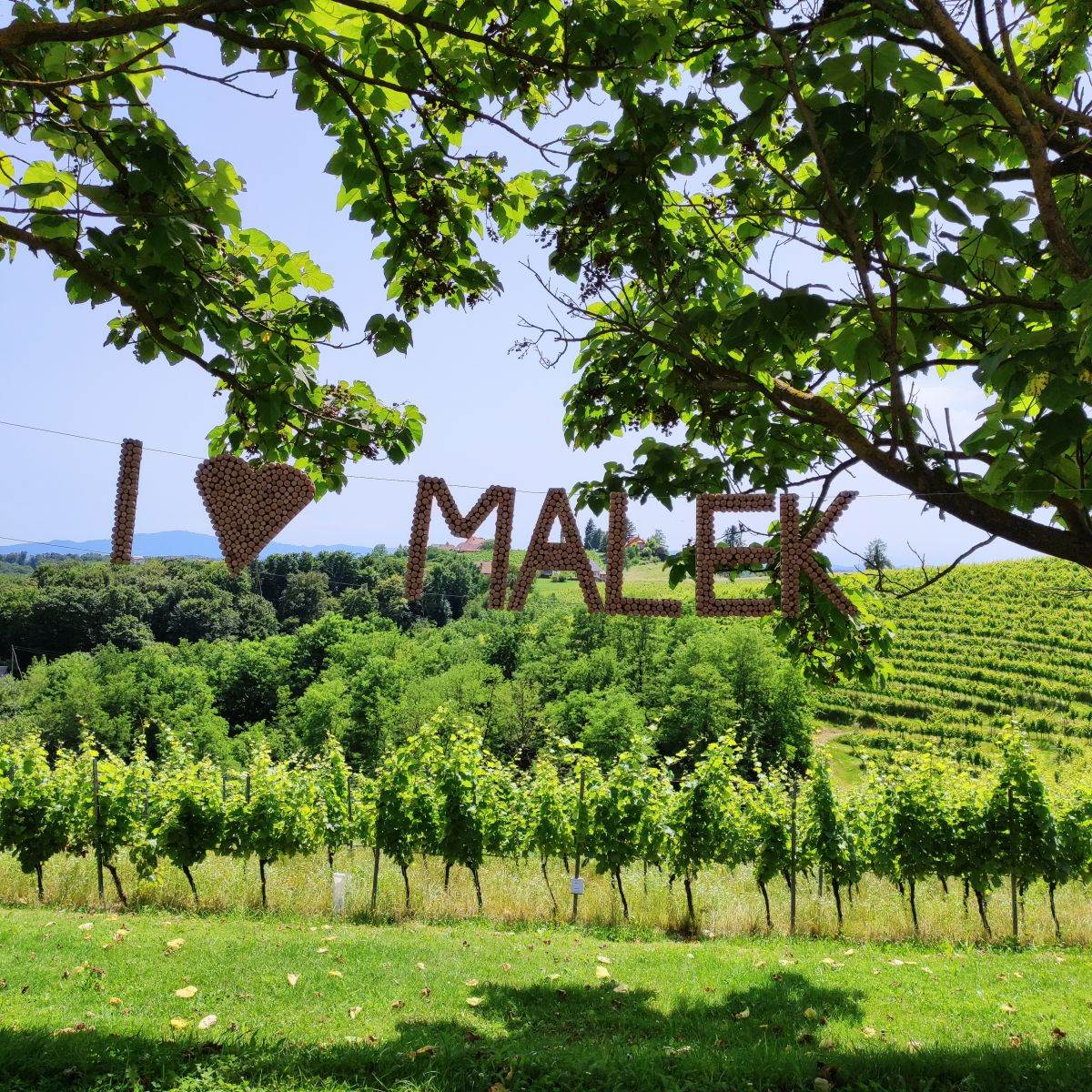 Slovenija Malek1.jpg