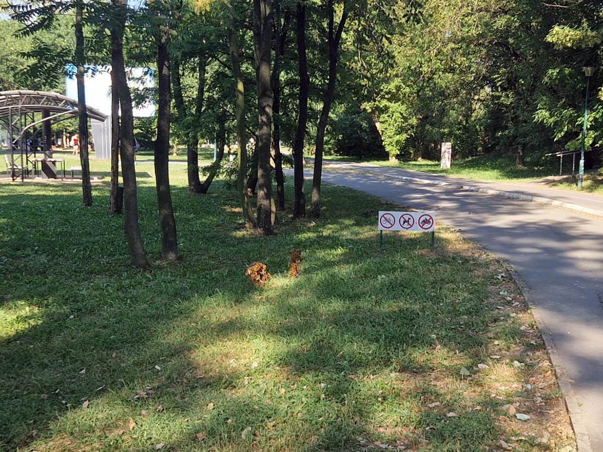 ada ciganlija psi zabrana  (6).jpg