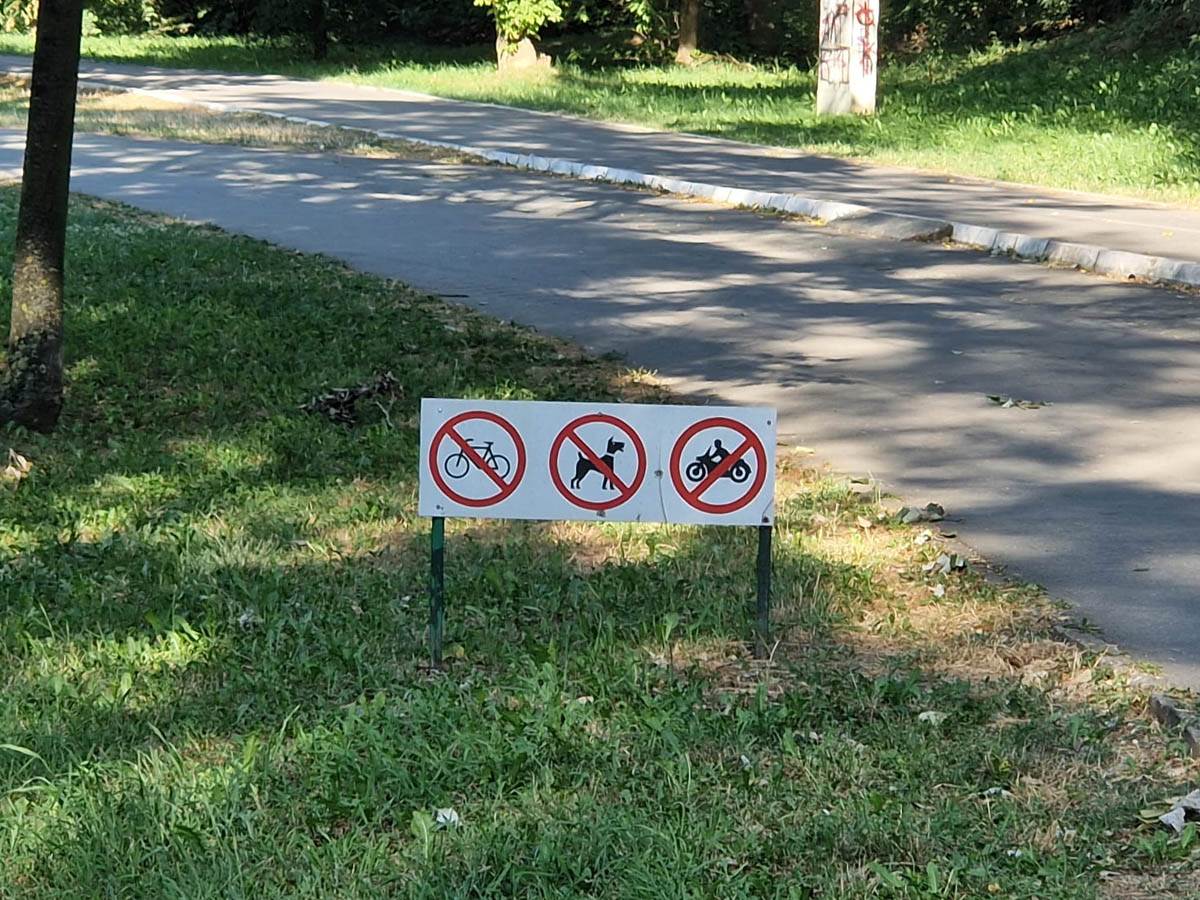 ada ciganlija psi zabrana  (5).jpg