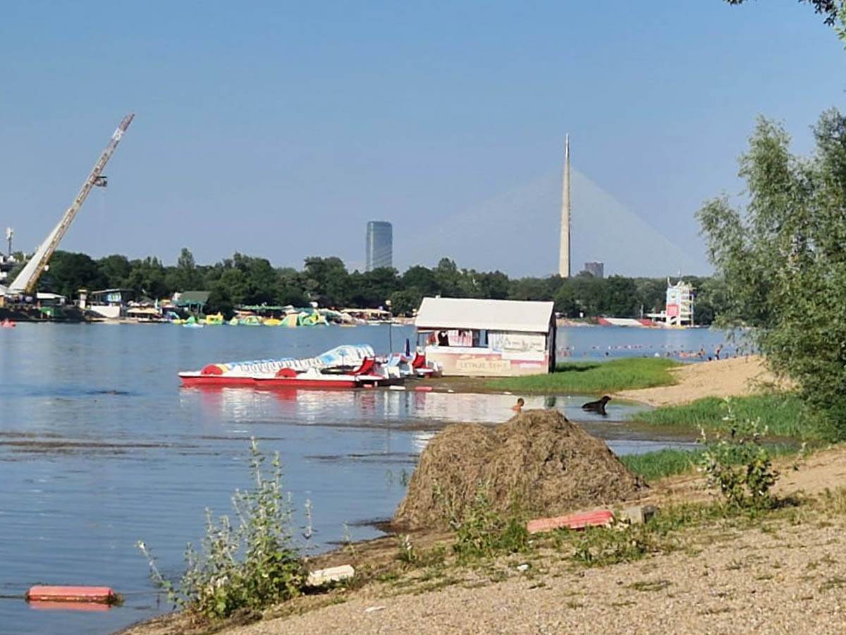 ada ciganlija psi zabrana  (2).jpg